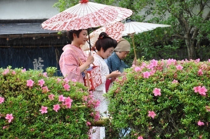 Dù ngày nắng hay mưa, cứ theo đúng lịch, mọi hoạt động ở Edo Wonderland vẫn cứ diễn ra với nhiệm vụ mang cả một ký ức xưa trở về cho mọi du khách. Do vậy cũng đừng vội chán nản khi bắt gặp một cơn mưa ngang qua trong hành trình ghé thăm công viên hấp dẫn này 