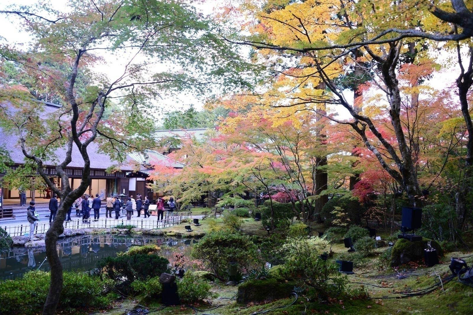 Kiến trúc chính ở chùa Entsuin (góc trái) là Đại Bi Đình (Daihitei) trong khu vườn quyến rũ của mùa Momiji 2018 