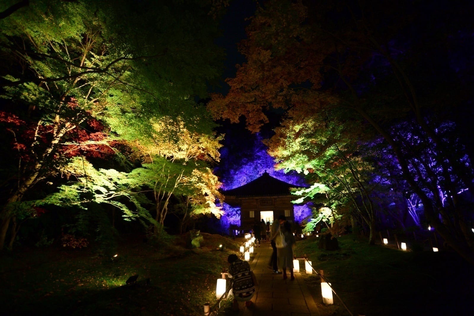 Lăng mộ Date Mitsumune trong ánh đèn đêm mùa lá đỏ 