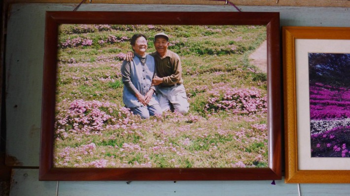 Người đàn ông Nhật Bản dành trọn tình yêu trồng đồi hoa trước nhà suốt 4 năm để tặng vợ mù lòa - Ảnh 11.