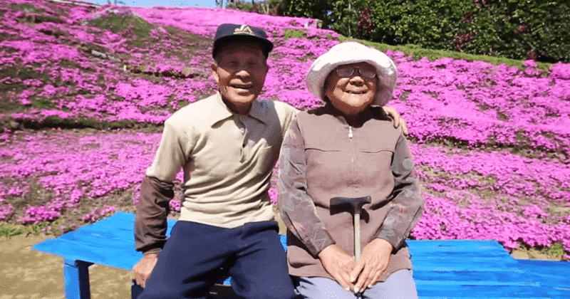 Người đàn ông Nhật Bản dành trọn tình yêu trồng đồi hoa trước nhà suốt 4 năm để tặng vợ mù lòa - Ảnh 9.